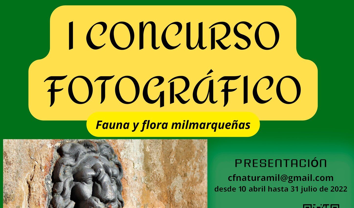 Concurso Fotográfico I