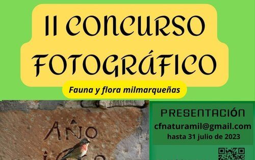 Concurso Fotográfico II