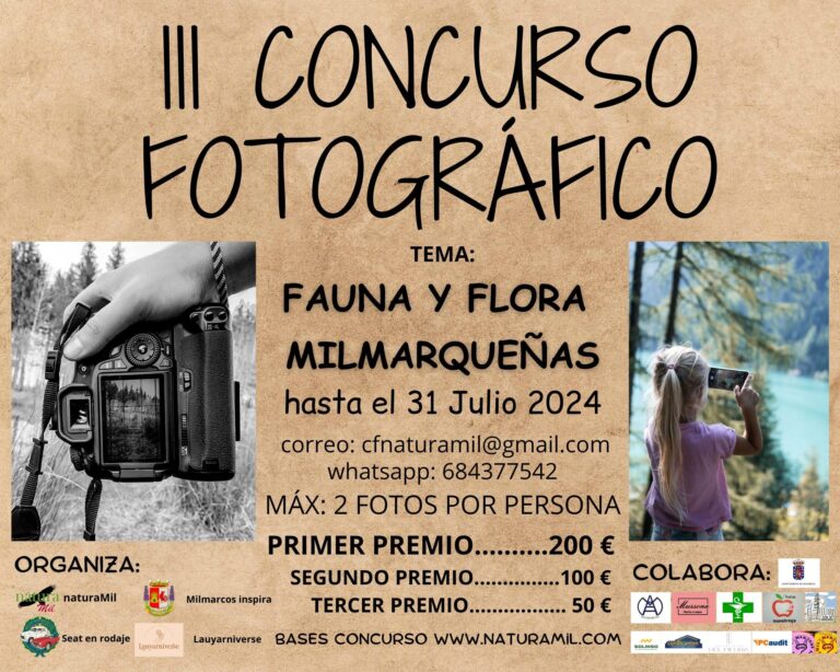 Concurso Fotográfico III