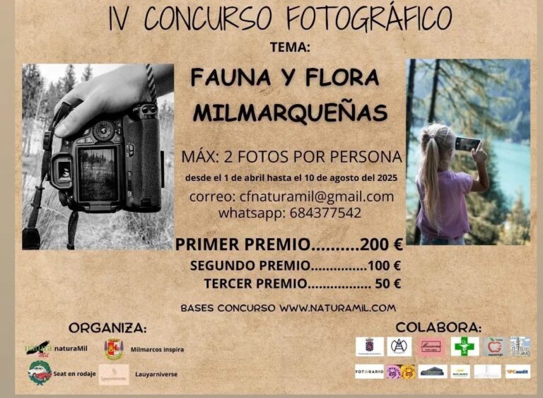 Concurso Fotográfico IV