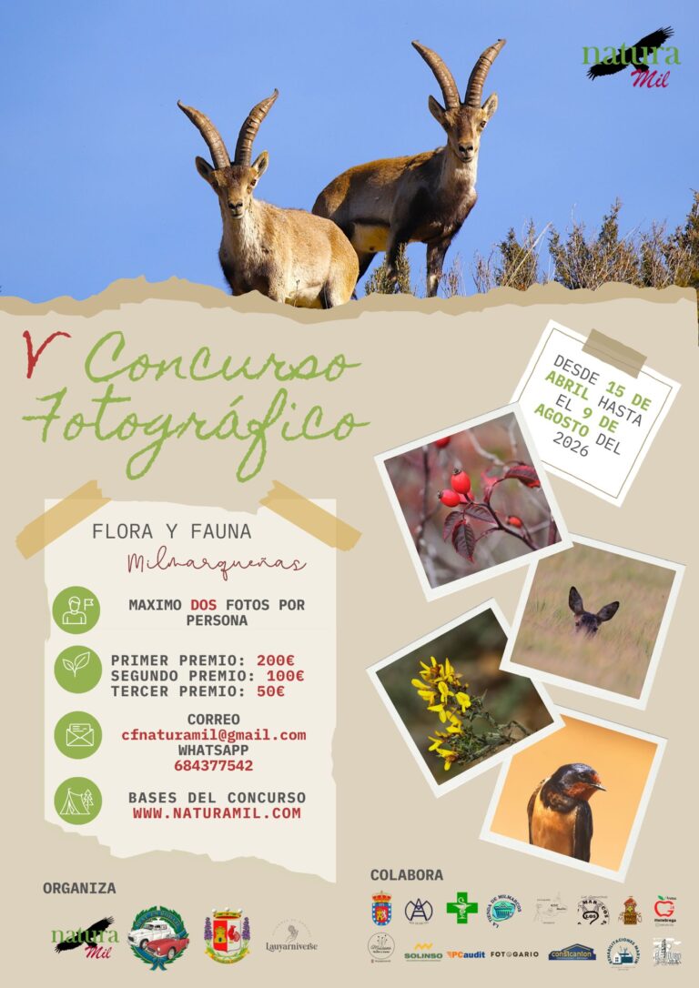 Concurso Fotográfico V