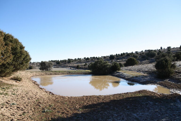 Navajo de la cabezuela