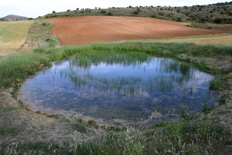 Navajo las fuentezuelas