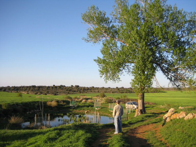 Navajo del Hontanar