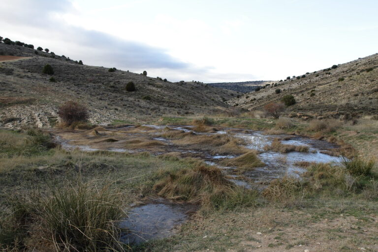 Navajo las Navas