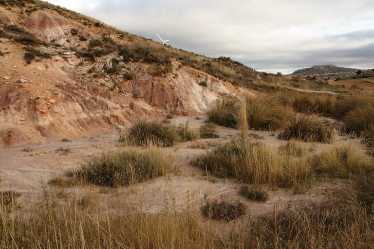 Navajo Peña Caída