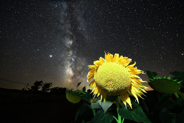 Fotografía Nocturna con Rubén Sánchez.