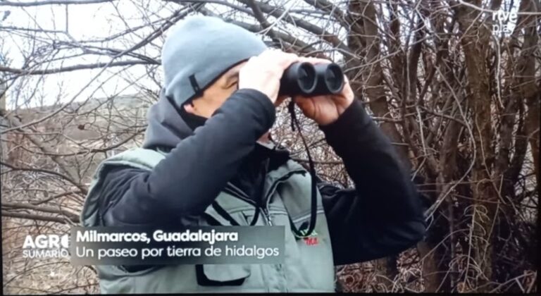 Programa Agrosfera