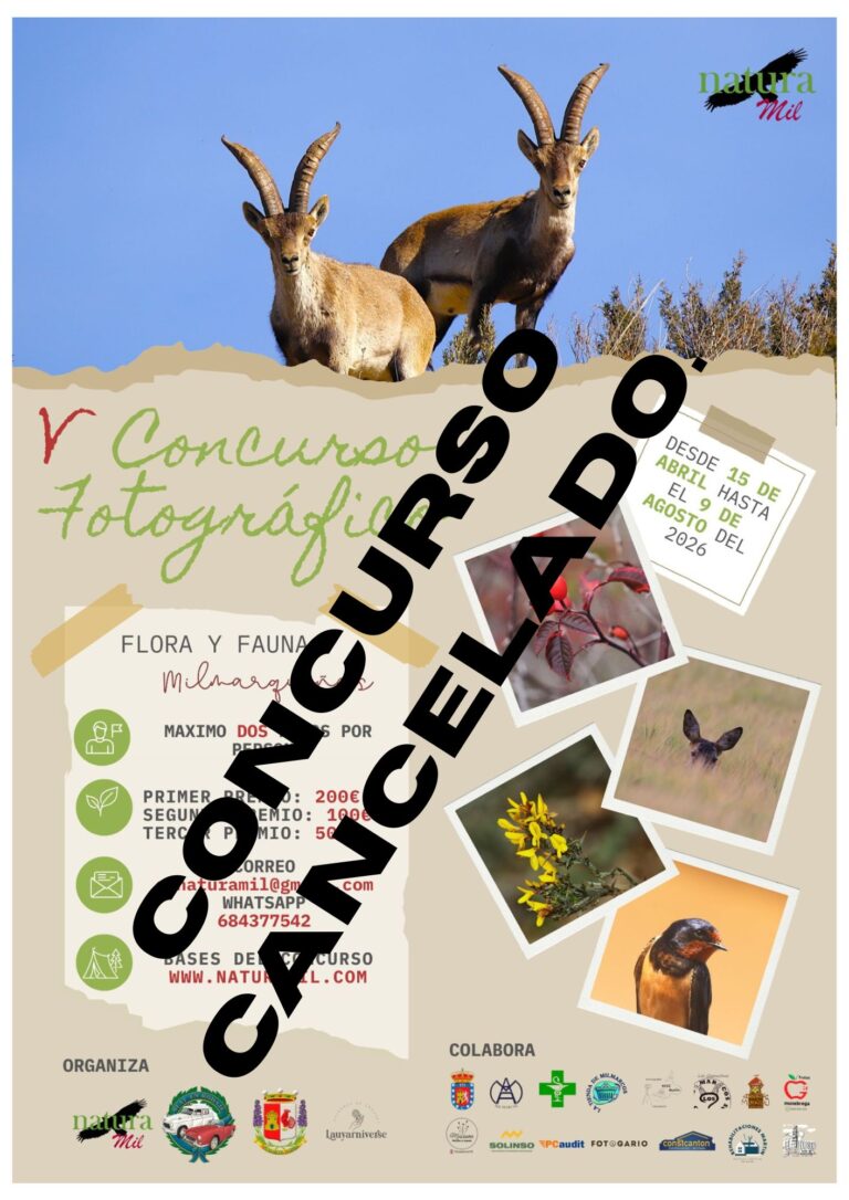 V concurso fotográfico.